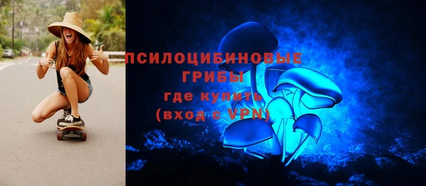 прущие грибы Арсеньев