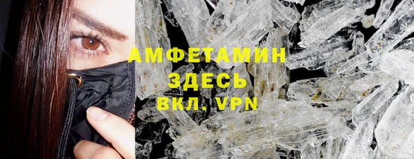 прущие грибы Арсеньев