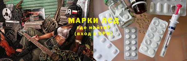 прущие грибы Арсеньев